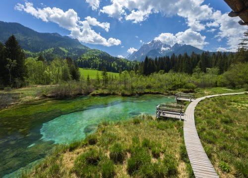 Spring landscape in Zelenci, Slovenia